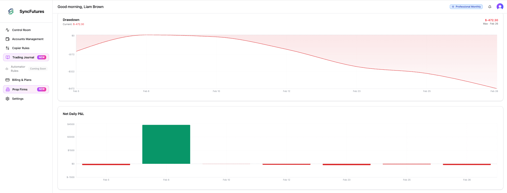 Drawdown chart and net daily P&L bar chart showing risk patterns